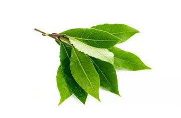 鹵料配方加什么料最香(香葉) 鹵料配方加什么料最香(香葉)