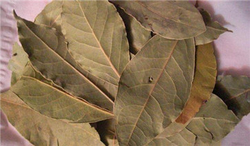 調味品香葉圖片