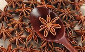 調味品大料八角圖片